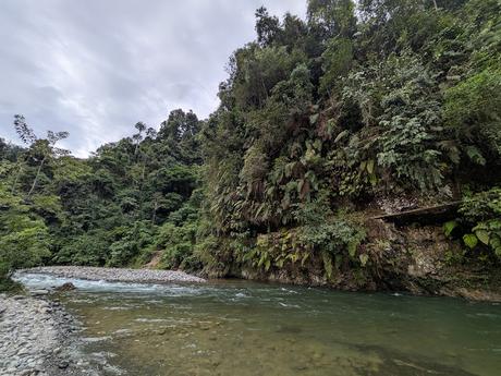 Treking en Bukit Lawang (Sumatra) Treking en Bukit Lawang (Sumatra)