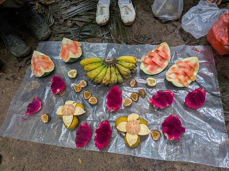 Treking en Bukit Lawang (Sumatra) Treking en Bukit Lawang (Sumatra)