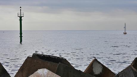 Charrán Patinegro M64 en el Puerto Olímpico de Barcelona