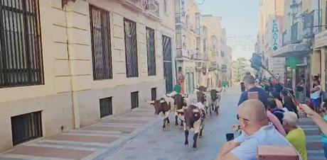 Un minuto y 58 segundos bastan para escribir la historia del toro en el simulacro taurino de encierros de Guadalajara