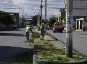 descanso: cuadrillas Imagen Urbana mejoran entornos públicos Soledad