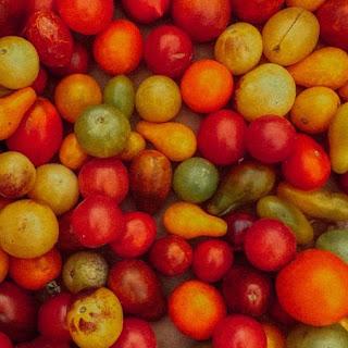 GRISO: 'NO DEMANO MÈS'