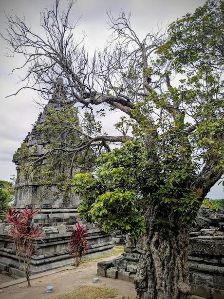 Yogyakarta (Isla de Java)