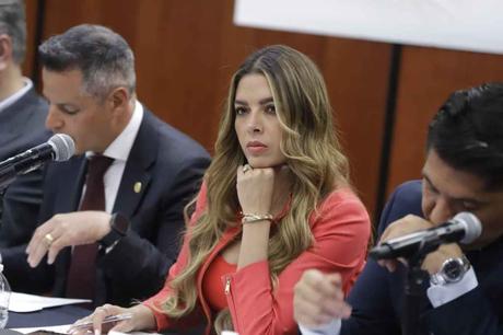 Senadora Ruth González Silva resalta importancia de la industria maquiladora e impulsa reforma en salud hormonal