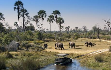 Destinos Viajes de Novios 2026 ¡La inspiración que estabais esperando! Viaje de novios safari en Botswana