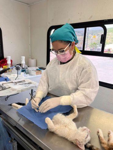 Gobierno Capitalino reconoce interés ciudadano en Jornadas Itinerantes “Esterilizando Juntos”