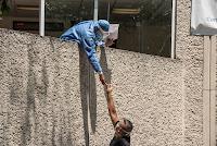 Cinecritica: Cartas a Distancia