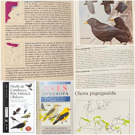 La Chova Piquigualda en la Ruta de la Marmota