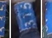 Viaje Buitres Osona Cerdanya