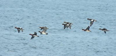 TOMA DE CONTACTO CON EL FESTIVAL DE LA MIGRACIÓN