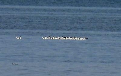 TOMA DE CONTACTO CON EL FESTIVAL DE LA MIGRACIÓN