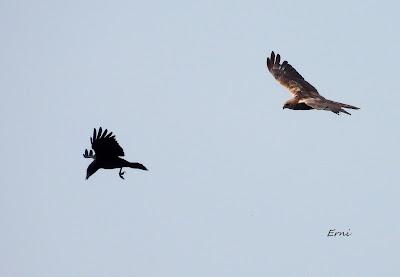 TOMA DE CONTACTO CON EL FESTIVAL DE LA MIGRACIÓN