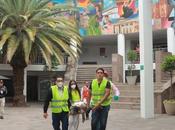 Simulacro evacuación sismo refuerza cultura prevención Luis Capital