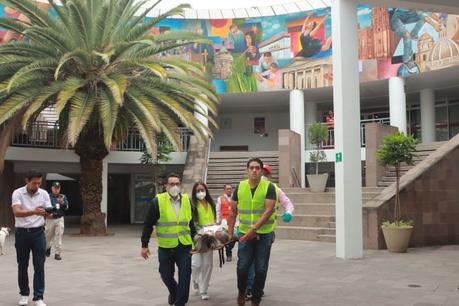 Simulacro de evacuación por sismo refuerza la cultura de prevención en San Luis Capital