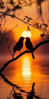 6.331 - CRECEN LAS RAMAS... 6.331 - CRECEN LAS RAMAS...