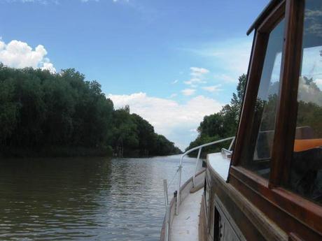 Los Bajos del Temor Los Bajos del Temor