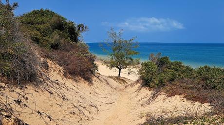 MOZAMBIQUE : EL ARCHIPIÉLAGO DE BAZARUTO MOZAMBIQUE : EL ARCHIPIÉLAGO DE BAZARUTO
