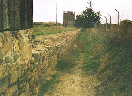 Petavonium: el legado romano en Zamora