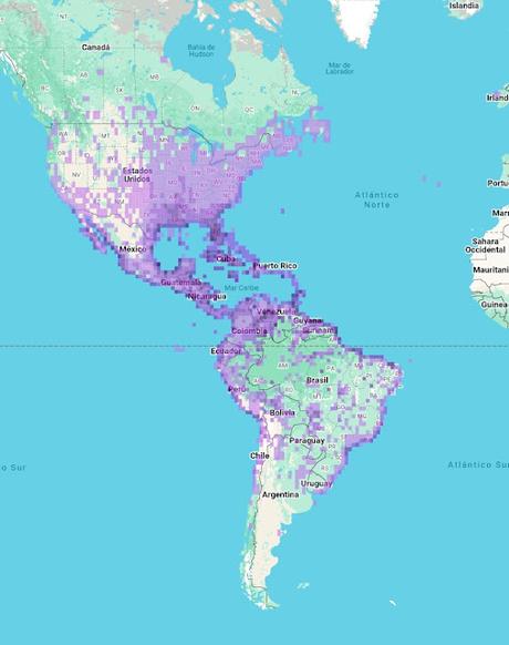 Garza azul (Egretta caerulea)