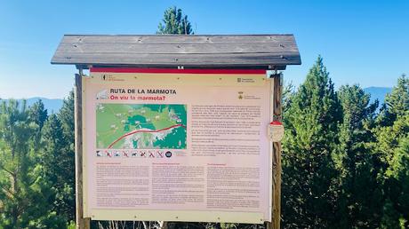 Aves en la Ruta de la Marmota