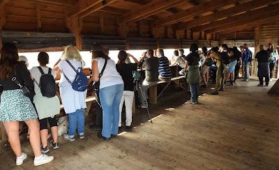 XVIII FESTIVAL DE LA MIGRACIÓN DE LAS AVES