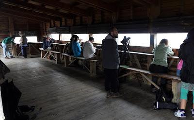 XVIII FESTIVAL DE LA MIGRACIÓN DE LAS AVES