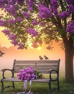 6.333 - DE NUEVO VI...