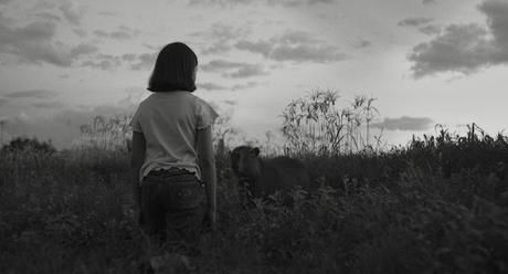 Donostia Zinemaldia 2025: “El mensaje” y los animales en la Sección Horizontes Latinos