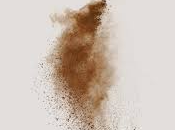 Jesús Moncada. Camino sirga