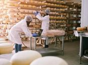 revoluciona fabricación quesos