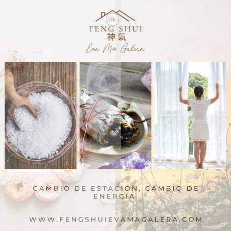 🍂🍁 Llega hoy 22 de septiembre el Otoño y 🌼🌻 la Primavera para el hemisferio Sur.✨