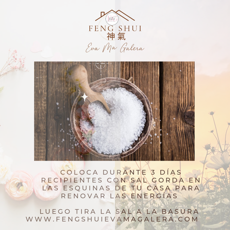 🍂🍁 Llega hoy 22 de septiembre el Otoño y 🌼🌻 la Primavera para el hemisferio Sur.✨