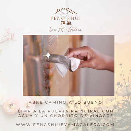 🍂🍁 Llega hoy 22 de septiembre el Otoño y 🌼🌻 la Primavera para el hemisferio Sur.✨