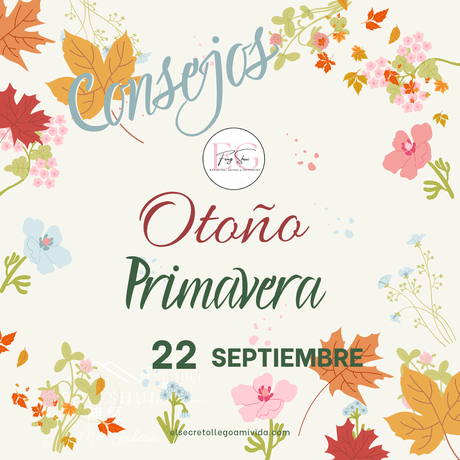 🍂🍁 Llega hoy 22 de septiembre el Otoño y 🌼🌻 la Primavera para el hemisferio Sur.✨