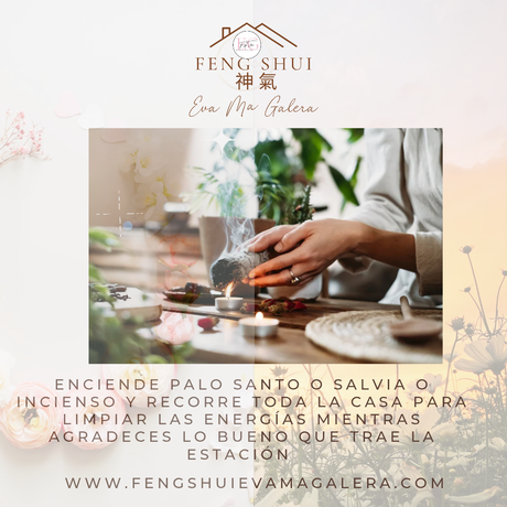 🍂🍁 Llega hoy 22 de septiembre el Otoño y 🌼🌻 la Primavera para el hemisferio Sur.✨