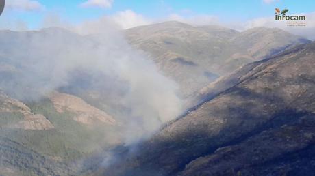 Hasta 34 medios, 18 de ellos aéreos, siguen trabajando en el incendio de Peñalba de la Sierra (Guadalajara)