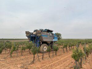 Bolaños de Calatrava acoge el viernes la segunda edición del curso ‘Fisiología del vino’ de la Universidad de Alcalá