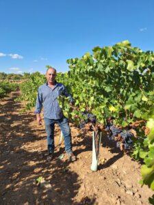 Bolaños de Calatrava acoge el viernes la segunda edición del curso ‘Fisiología del vino’ de la Universidad de Alcalá