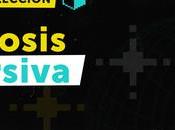 Talento regional innovación audiovisual: FICValdivia anuncia seleccionados ¡MATCH! Profesional Simbiosis Inmersiva