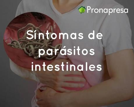 Síntomas de parásitos intestinales