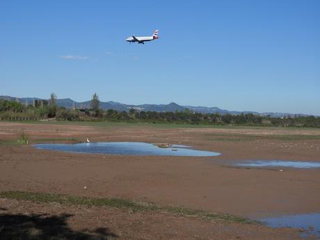 Cuando la Naturaleza compite con un 'hub' internacional