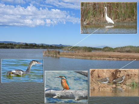 Cuando la Naturaleza compite con un 'hub' internacional
