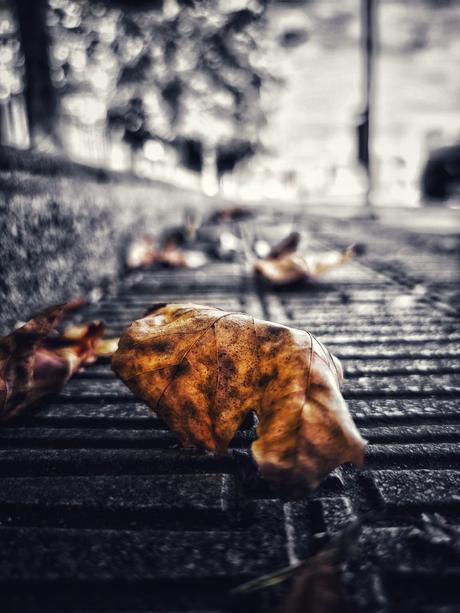 Soledad 2 | Momentos Splash. Fotografía Creativa Ibarakaldo