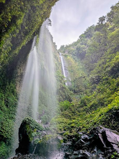Tour de 3 días: Bromo & Ijen (día 1) Tour de 3 días: Bromo & Ijen (día 1)