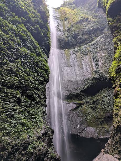 Tour de 3 días: Bromo & Ijen (día 1) Tour de 3 días: Bromo & Ijen (día 1)