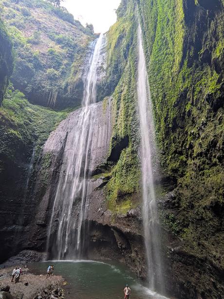 Tour de 3 días: Bromo & Ijen (día 1) Tour de 3 días: Bromo & Ijen (día 1)