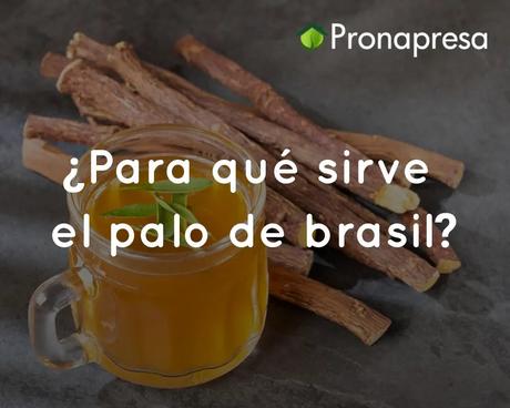 ¿Para qué sirve el palo de Brasil?