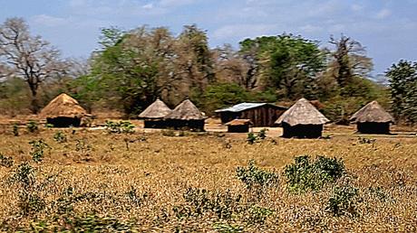 MOZAMBIQUE : EN EL MERCADO DE QUELIMANE MOZAMBIQUE : EN EL MERCADO DE QUELIMANE