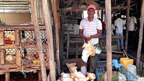 MOZAMBIQUE : EN EL MERCADO DE QUELIMANE MOZAMBIQUE : EN EL MERCADO DE QUELIMANE