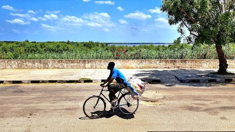 MOZAMBIQUE : EN EL MERCADO DE QUELIMANE MOZAMBIQUE : EN EL MERCADO DE QUELIMANE